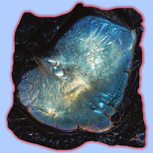 两个黑玩一个白人
