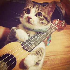 两个黑玩一个白人
